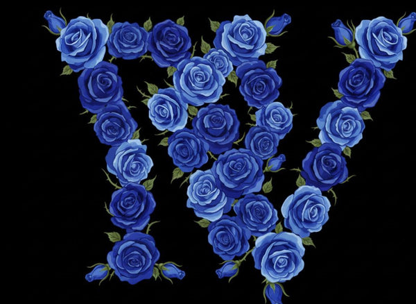 Mentalitavincentereal